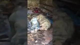Тела умерших в Могоче вместо морга хранятся в гараже возле больницы  Внутри гаража