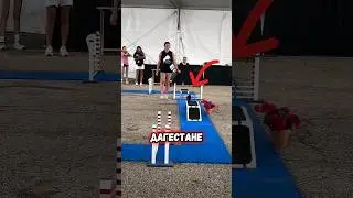 Новый спорт придумали в чечне😳