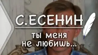С.Есенин - Ты меня не любишь, не жалеешь (Стих и Я)