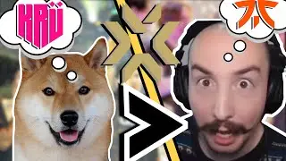 My Dog PREDICTS The Winner Of VCT Champions