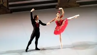 Иван Васильев и Мария Виноградова "Дон Кихот" 10/11/19