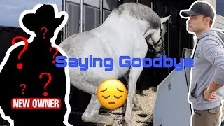 I SOLD MY HUGE STALLION MEET THE NEW OWNER