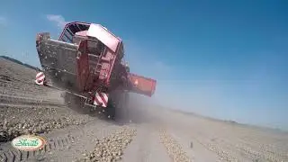 Уборка лука. КХ Михаила Шруба