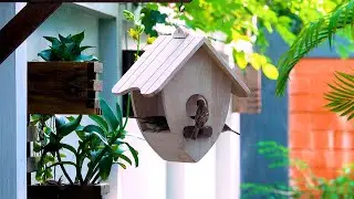 Build the EASIEST Wooden Bird Feeder for Your Backyard
