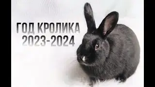 Год Черного Кролика/Кота