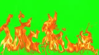 Green Screen Fire Animation Effect Chromakey Футаж Огонь Эффект хромакей आग