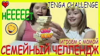 Играем в Дженгу Семейный Челлендж / Башня из Фикс прайса / Веселая семейка