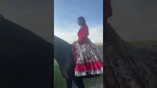 Цыгане опять украли коня! 