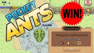 Pocket Ants l Лягушка побеждена в тестовом режиме!!! Не делай такой же ошибки на мухах как я!