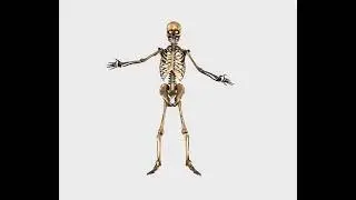 Free to use Happy Halloween dancing skelton scary