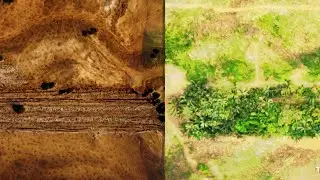 Human Battle against Desertification Expansion & Degraded Land to Save Nature #documentary #science