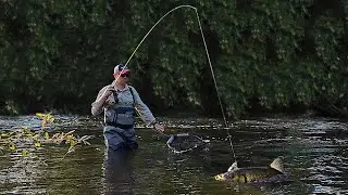 Fantastic lure fishing rod on the water review. Purelure Acuteviolet