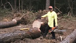 Sawing Logs - Day 40