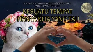 COBA BANDINGIN VERSI ASLINYA😙INI BENAR BENAR MERDU||MELLOW||KUCING NYANYI|SO CUTE.