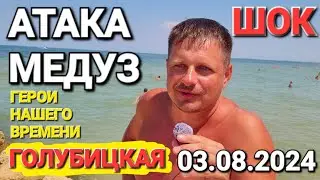 Это шокирует! 3 августа 2024 г. Атака медуз! 