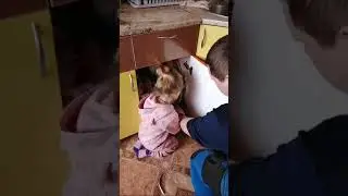 самый маленький мастер в мире