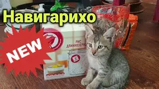 ТУХФАХО АЗ ФАБЕРЛИК/ПОСУДАХОРО АЛИШ КАРДЕМ🇹🇯1.08.21