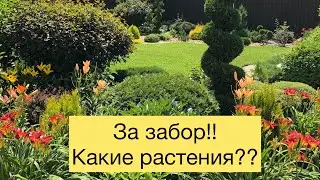 ПОЧЕМУ ЗА ЗАБОР?🤦‍♀️