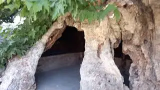 КАДИМГИ ЧИНОР ДАРАХИ #qadimgi# chinor# darahti#