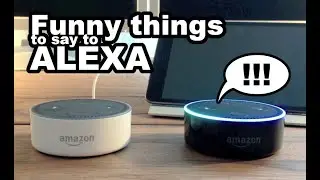 Amazon Eastereggs: Funny things to say to Alexa!