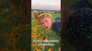 Главное честно 🤣 