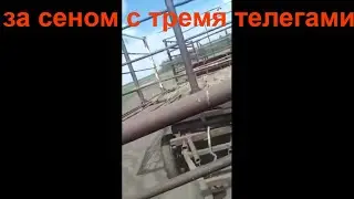 Т-40 за сеном с тремя телегами\Жизнь в деревне\Орловка