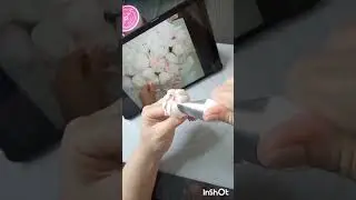 Создание пиона. #букет #красота