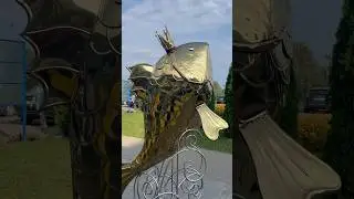 Царь-рыба! Золотая! Или принцесса? 🤔 #беларусь #мядель