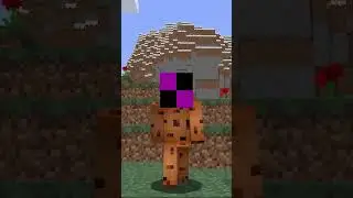 The MISSING Texture…