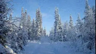 Метель