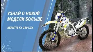 Новый китаец лучше некро японца? Эндуро мотоцикл Авантис FX lux 250