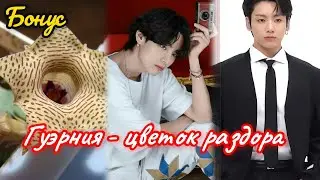 ГУЭРНИЯ - ЦВЕТОК РАЗДОРА  |  БОНУС  |  Ли Соль  |  Озвучка фанфика  