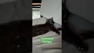 активная позиция