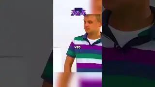Вечный двигатель из кошки и хлеба с маслом 😱 