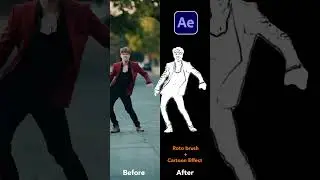 Roto Brush Tool Auto Rotoscoping in After Effects Before & After