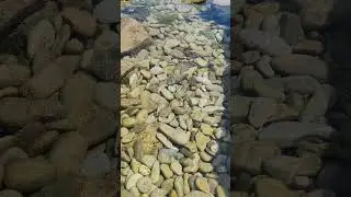 Чёрное море Новороссийск а