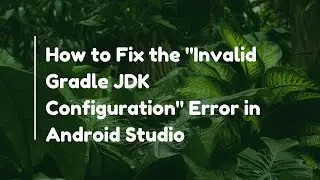 How to Fix the 