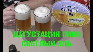 Дегустация пива 