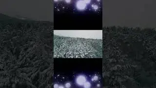 Зимний лес. Наталья Рыковская (Natali). чит. Оксана Семерикова. 