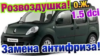 Рено Кенго 2 Замена АНТИФРИЗА Кенго 3. Меган 3. Сценик 3. Ситан 1.5 dci antifreeze changing Kangoo.