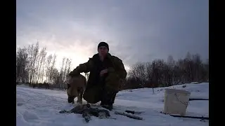 НАЛИМ!! Отличный улов! И заработок на сборе серы,. крокодил рвет мои снасти.