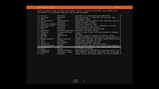 Ubuntu Server 2004 LTS Install A Step by Step Guide Beginners Tutorial and Bonus Web Se