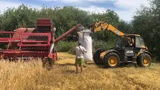 Виїхали на калим, молотимо жито! Череда в селі на 9 корів