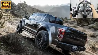 Saleen Sportruck XR | OFFROAD | Forza Horizon 5 | g29 gameplay