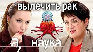 Шихман Провокаторы рака 5G, обида, солнце, ожирение, мегаполисы, уровень жизни  Наука  А поговорить