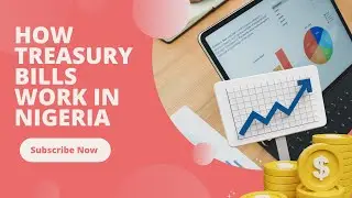 How Treasury Bills work in Nigeria