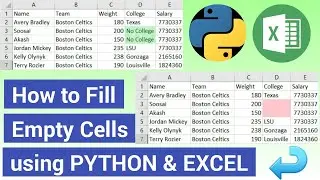 Fill Empty Cells In Excel Using Python | Replace Null Values In Excel Using Python | Python