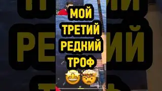 🏆РЕДКИЙ ТРОФЕЙ САЙРА🔥 