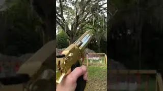 Can't have a bad time shooting a Desert Eagle