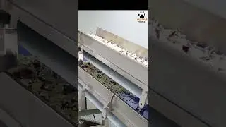 Мурка линия по производству салатов salad processing line pilam.ru